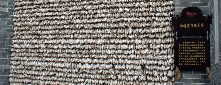 Oyster Shell Wall, ��ǽ